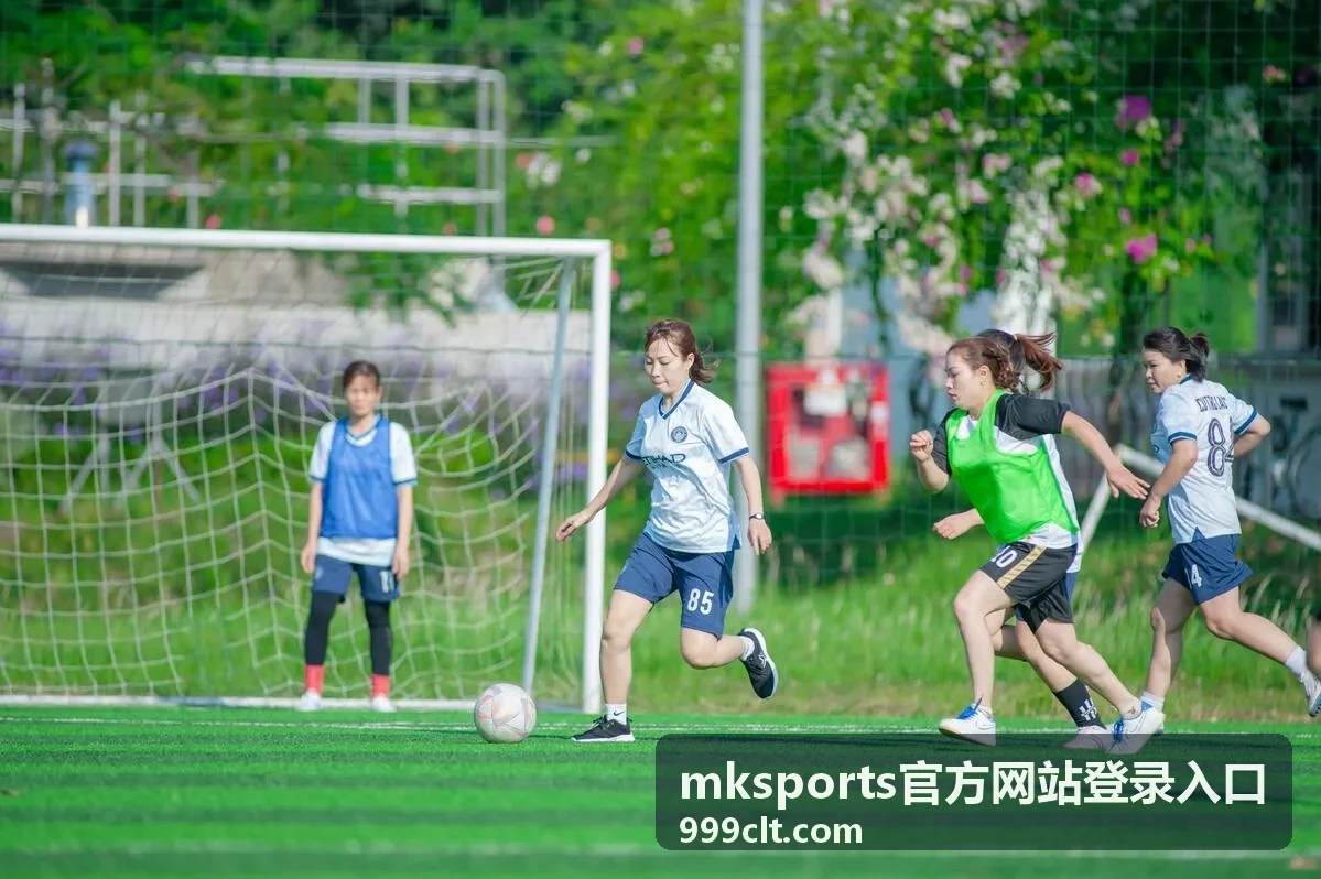 mksports官方网站登录入口套餐权益与服务支持说明配图