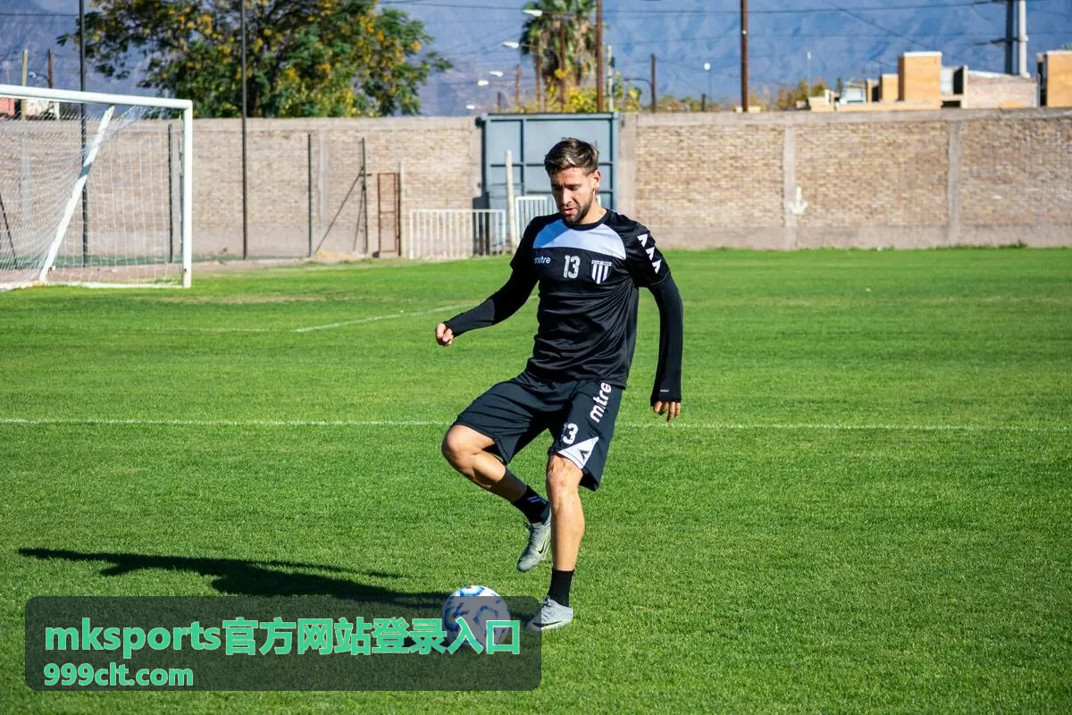 mksports官方网站登录入口服务保障与权益说明配图
